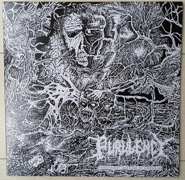 Transcendent Unveiling of Dimensions