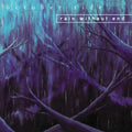 RAIN WITHOUT END