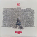 SCOUT