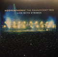 Magnificent Tree: Live With Strings