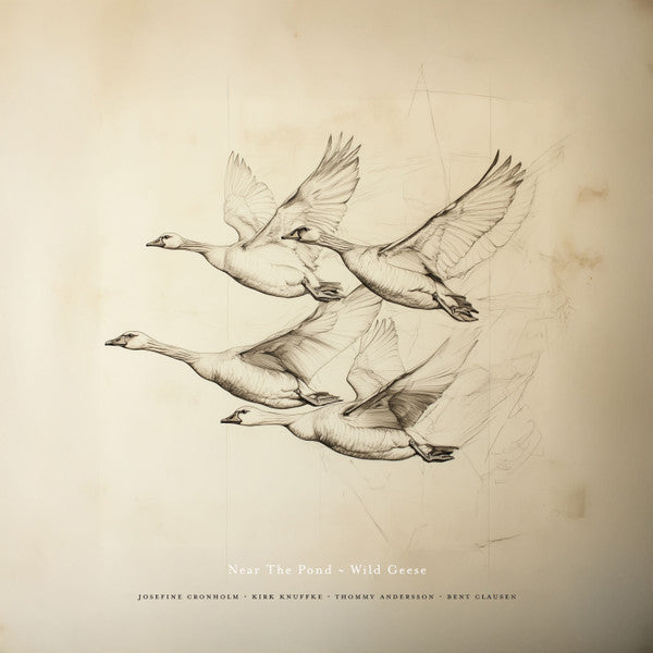 Near The Pond: Wild Geese