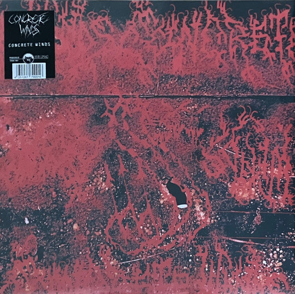 CONCRETE WINDS