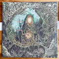 CLAUSTRUM