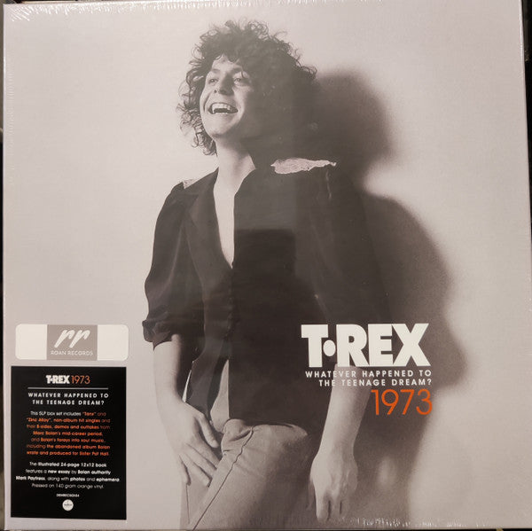 1973 (Whatever Happened To The Teenage Dream?)