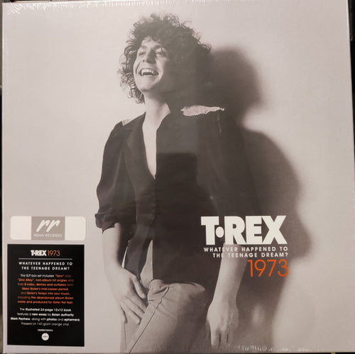 1973 (Whatever Happened To The Teenage Dream?)