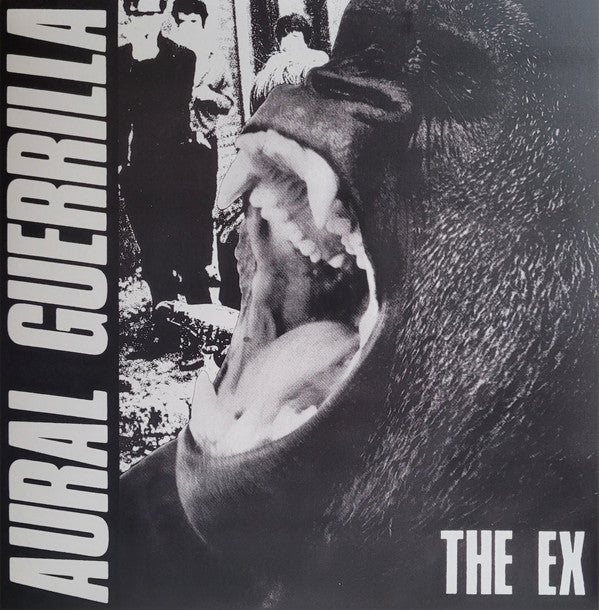 AURAL GUERRILLA