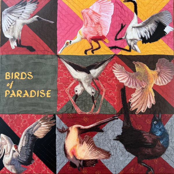 BIRDS OF PARADISE