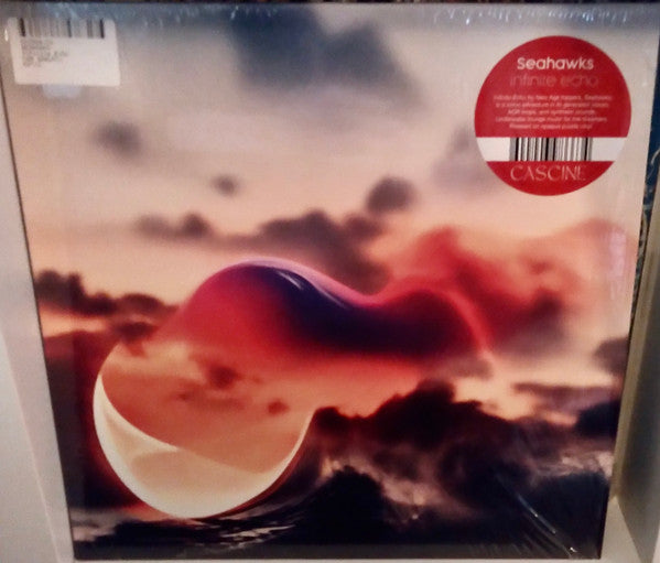 Infinite Echo