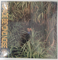 SPACE BEYOND NOISE