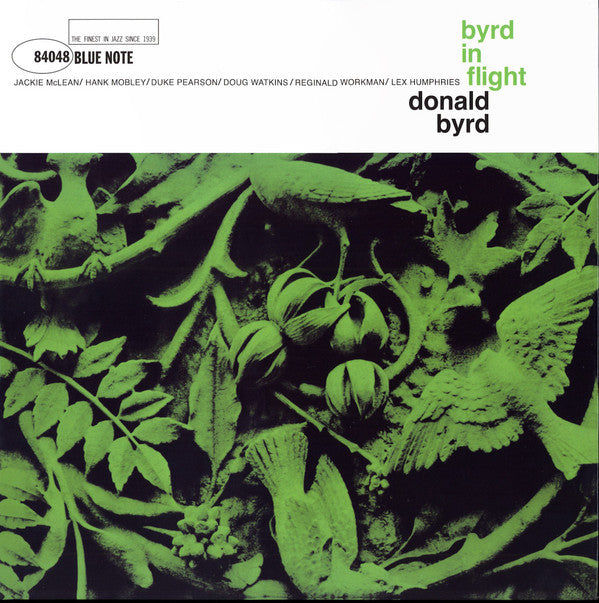 BYRD IN FLIGHT
