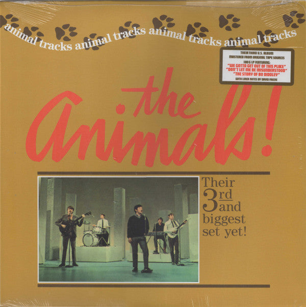 ANIMAL TRACKS
