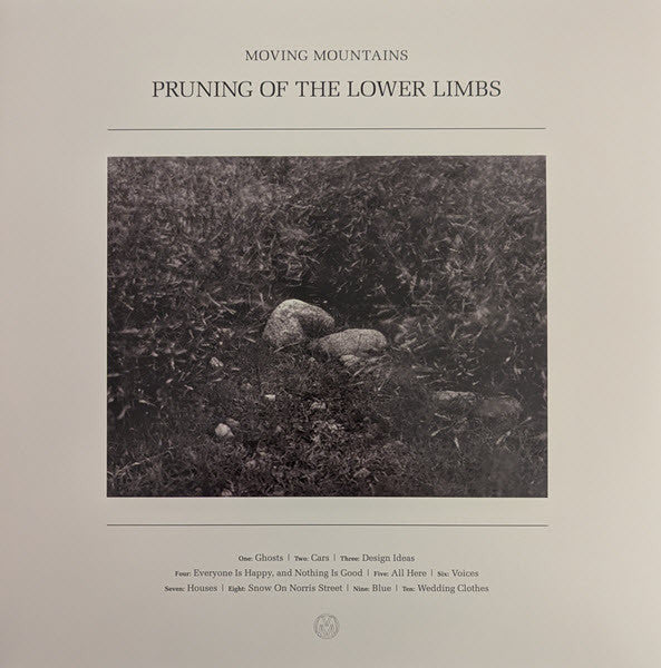 Pruning Of The Lower Limbs
