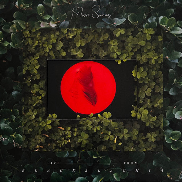 Live From Blackalachia - Opaque Red Colored Vinyl