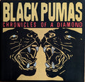 CHRONICLES OF A DIAMOND