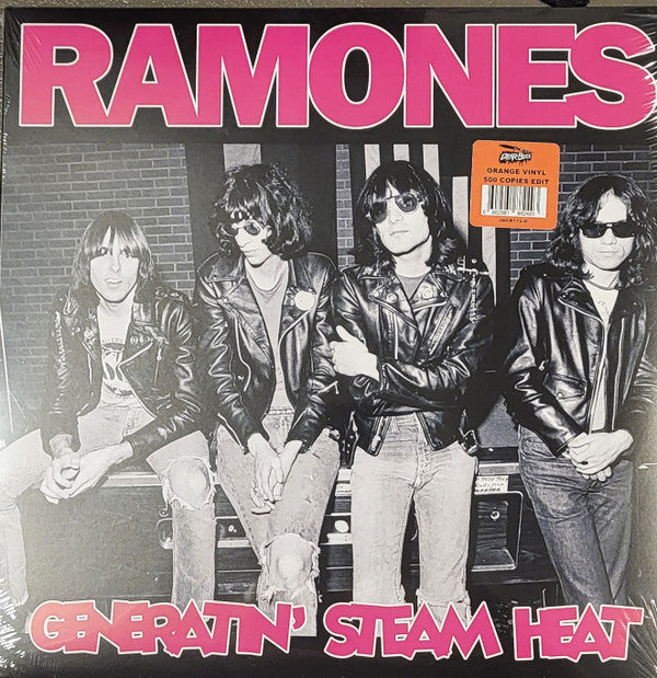 GENERATIN STEAM HEAT: LIVE IN GERMANY 1978/LIVE AT CBGB'S 1976 - FM BROADCAST