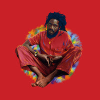 WE REMEMBER DENNIS BROWN