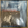 Dedicated To The Island -Soundwalk & Music For Saunter Magazine-