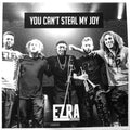 You Can't Steal My Joy