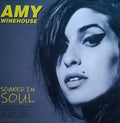 SOAKED IN SOUL: LIVE AT EUROCKEENNES DE BELFORT. FRANCE. JUN 29TH 2007 - FM BROADCAST