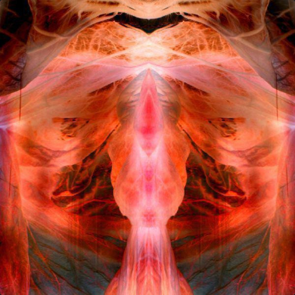 The Annihilating Angel; Or, The Surface Of The World