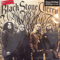 BLACK STONE CHERRY