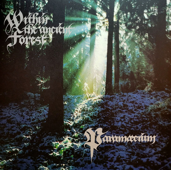 Within The Ancient Forest