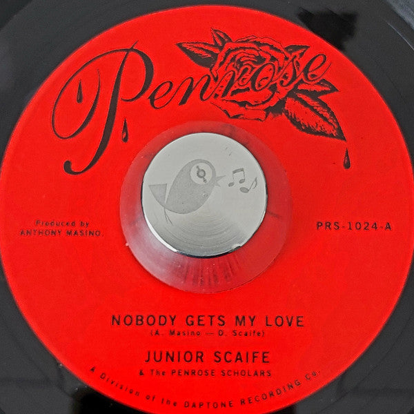 Nobody Gets My Love