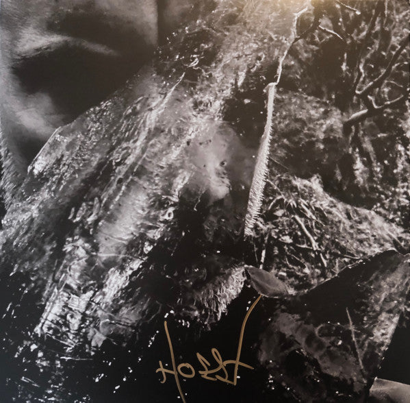 En Skog Av Nidstang - Clear Vinyl