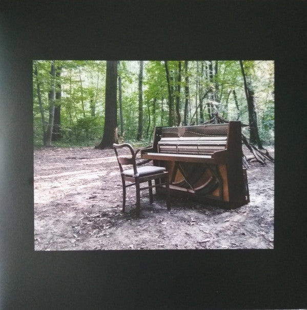Acoustic II