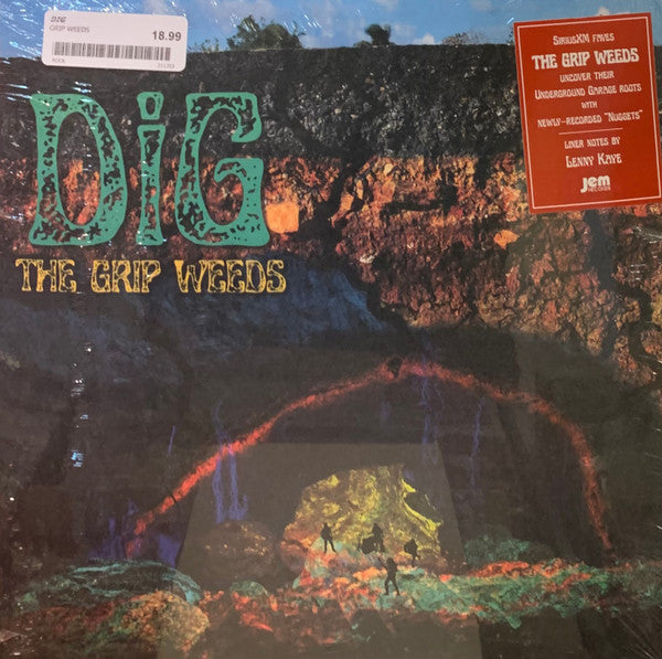 DIG