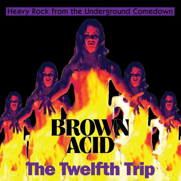 Brown Acid: The Twelfth Trip (Heavy Rock From The Underground Comedown)