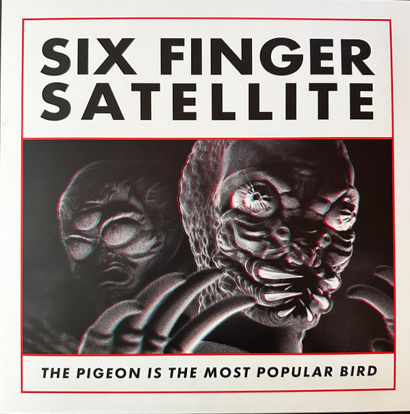 The Pigeon Is The Most Popular Bird