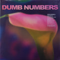 Dumb Numbers