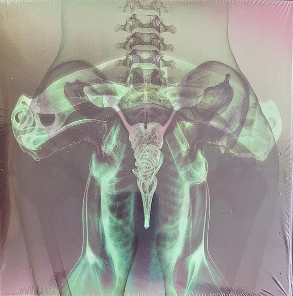 Shark Brain / Dolphin