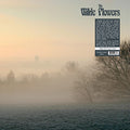 WILDE FLOWERS