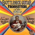 Bottleneck Guitar Trendsetters Of The 1930's