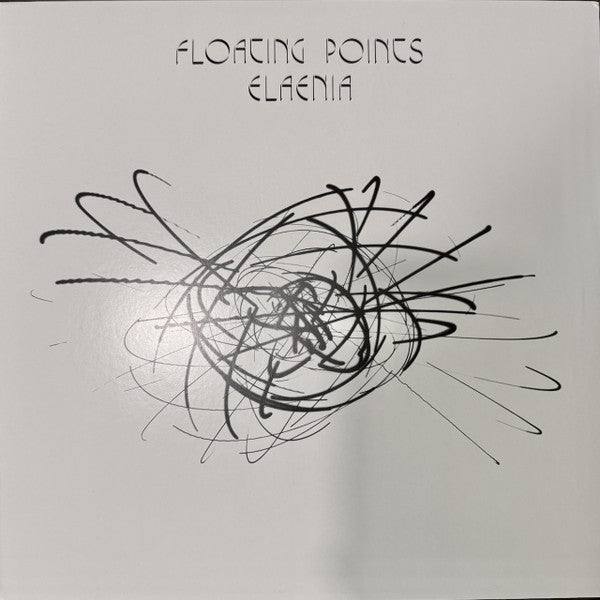 Elaenia