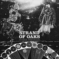 DARK SHORES