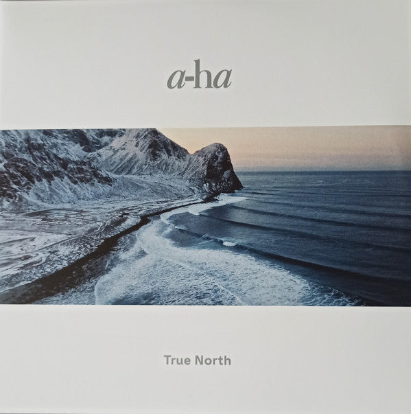 True North - Eco-Mix Vinyl