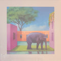 ELEPHANT IN THE ROOM
