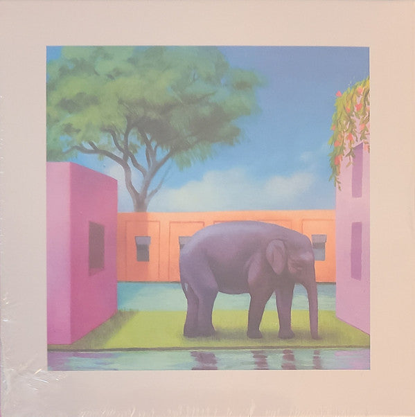 ELEPHANT IN THE ROOM