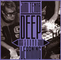Deep Sound Learning: 1993-2000
