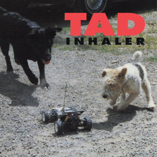 Inhaler