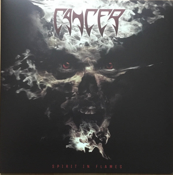 SPIRIT IN FLAMES