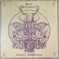 COSMIC AWAKENING