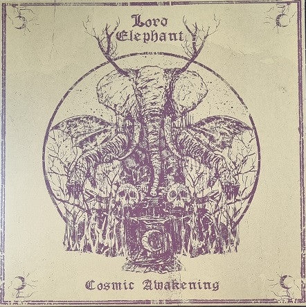 COSMIC AWAKENING